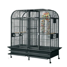 Parrot Cages Archives - Talking Parrots